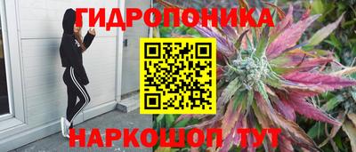 jwh Гусев